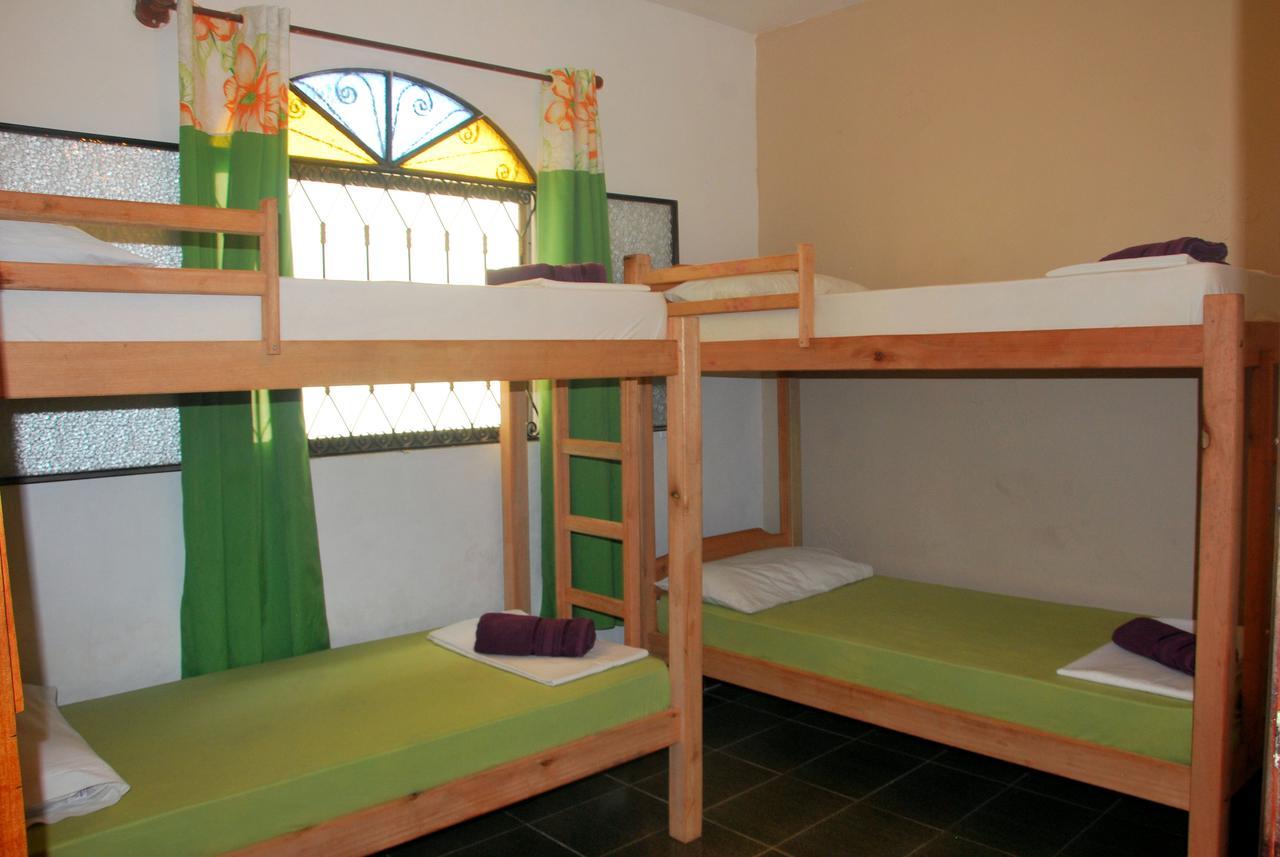 Nautilus Hostel Araquari Kültér fotó